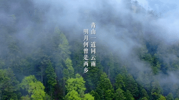 
北京空军总医院黄牛代挂号电话票贩子号贩子网上预约挂号,住院检查加快,微视频丨大道同行
