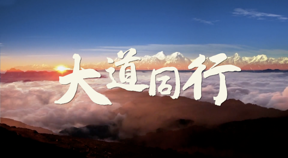 
北京空军总医院黄牛代挂号电话票贩子号贩子网上预约挂号,住院检查加快,微视频丨大道同行