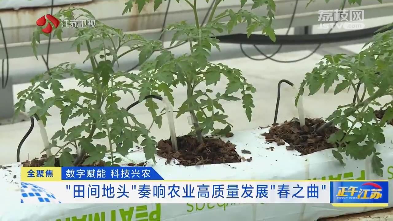
北医六院黄牛代挂号电话票贩子号贩子网上预约挂号,住院检查加快,数字赋能 科技兴农 “田间地头”奏响农业高质量发展“春之曲”