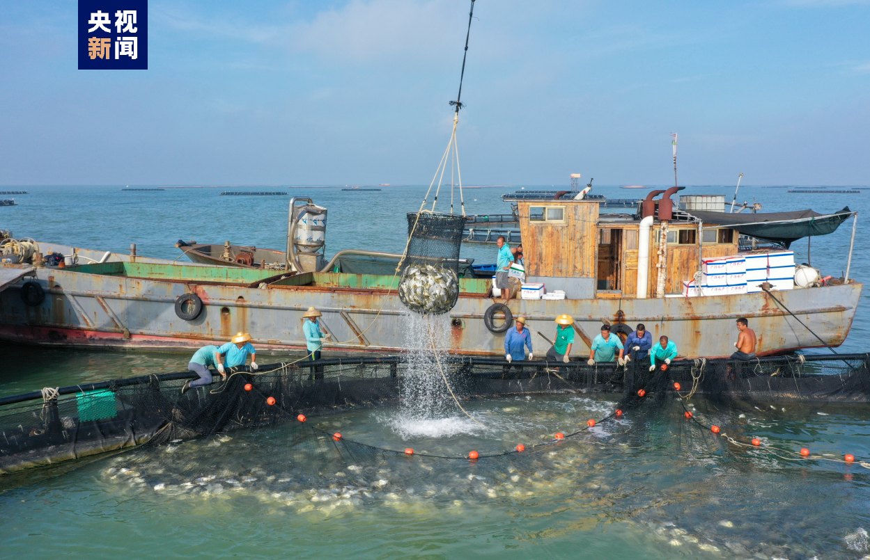 
上海华山医院黄牛代挂号电话票贩子号贩子网上预约挂号,住院检查加快,大海深处建粮仓 看广东发展海洋经济的“减法”“加法”“乘法”