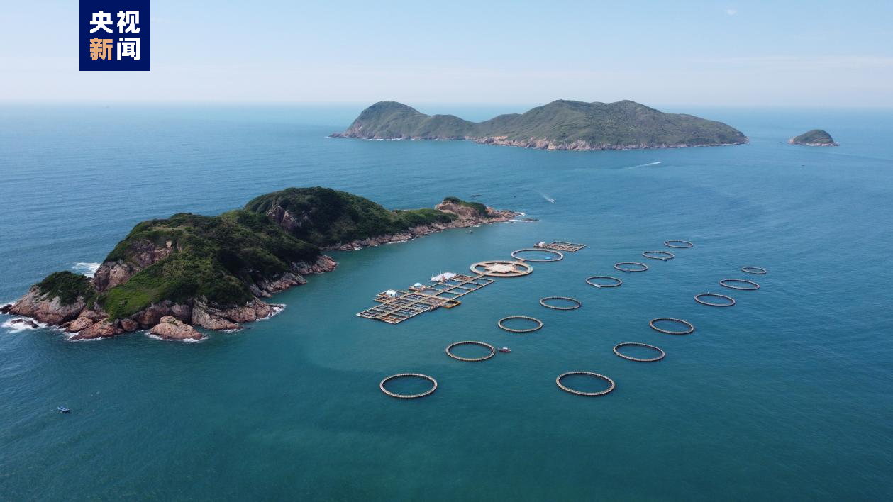 
上海华山医院黄牛代挂号电话票贩子号贩子网上预约挂号,住院检查加快,大海深处建粮仓 看广东发展海洋经济的“减法”“加法”“乘法”