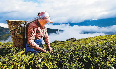 
南京儿童医院黄牛代挂号电话票贩子号贩子网上预约挂号,住院检查加快,助推乡村振兴 侨商尽心尽力（侨界关注）