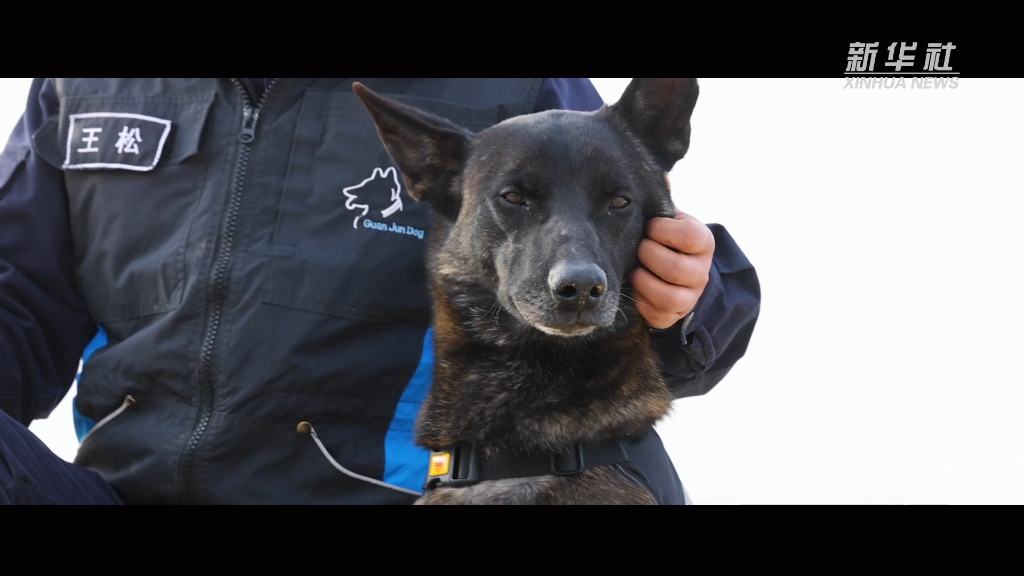 
南京中科研究所黄牛代挂号电话票贩子号贩子网上预约挂号,住院检查加快,功勋犬来啦丨侦探警犬冠和