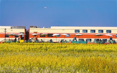 
南京儿童医院黄牛代挂号电话票贩子号贩子网上预约挂号,住院检查加快,助推乡村振兴 侨商尽心尽力（侨界关注）