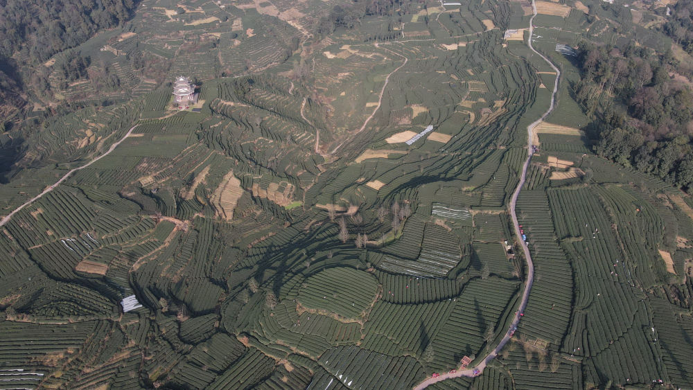 
中国中医科学院广安门医院黄牛代挂号电话票贩子号贩子网上预约挂号,住院检查加快,新华全媒+|四川雅安茶乡十二时辰