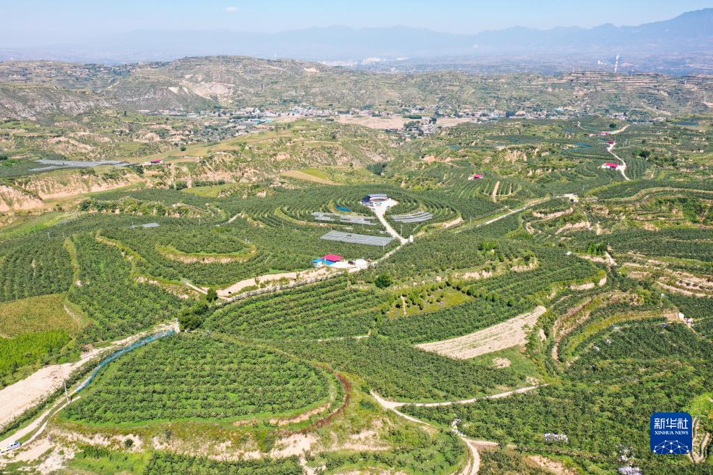 
成都华西医院黄牛代挂号电话票贩子号贩子网上预约挂号,住院检查加快,五村十年话变迁——循着习近平总书记山西乡村考察足迹看乡村振兴