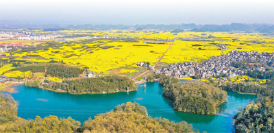 
中日友好医院黄牛代挂号电话票贩子号贩子网上预约挂号,住院检查加快,罗平 油菜花开迎客来（文化市场新观察）
