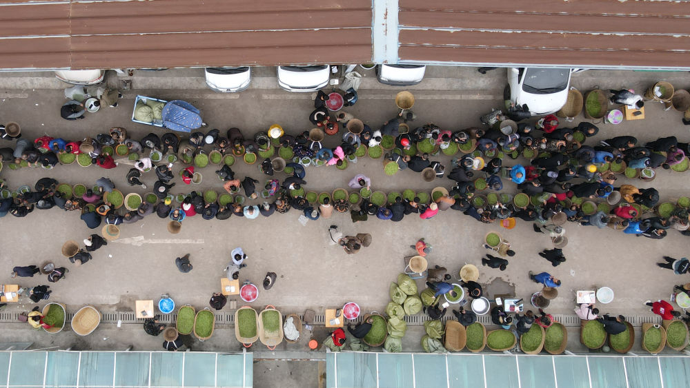 
中国中医科学院广安门医院黄牛代挂号电话票贩子号贩子网上预约挂号,住院检查加快,新华全媒+|四川雅安茶乡十二时辰