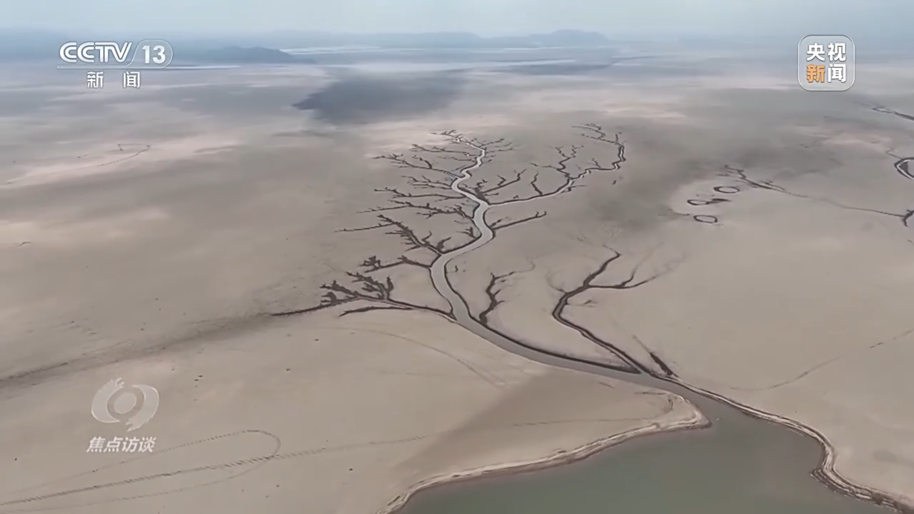 
杭州市妇幼保健院黄牛代挂号电话票贩子号贩子网上预约挂号,住院检查加快,焦点访谈丨敬畏自然 共同行动 积极应对气候变化