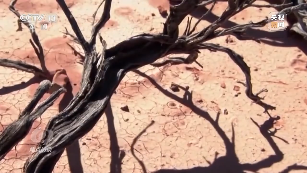 
杭州市妇幼保健院黄牛代挂号电话票贩子号贩子网上预约挂号,住院检查加快,焦点访谈丨敬畏自然 共同行动 积极应对气候变化