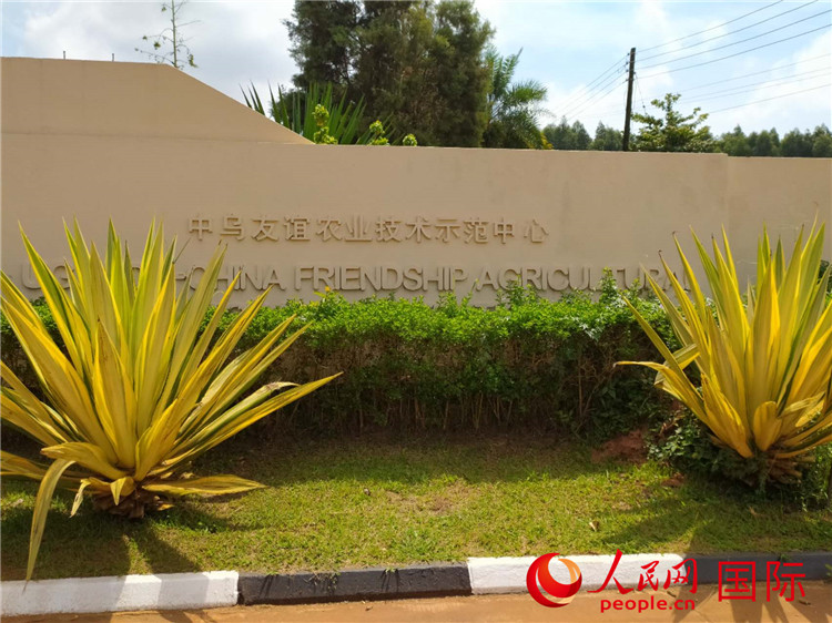 
长沙湘雅医院黄牛代挂号电话票贩子号贩子网上预约挂号,住院检查加快,“南南合作的典范”——走进中乌友谊农业技术示范中心