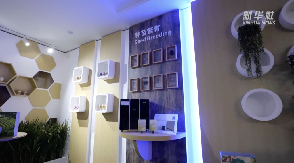 广州肿瘤医院黄牛代挂号电话票贩子号贩子网上预约挂号,住院检查加快,在博鳌遇上创新三亚