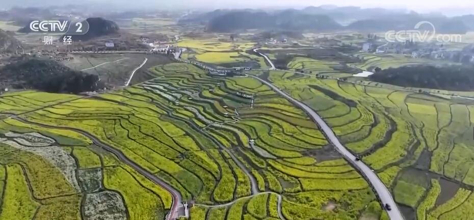 
北大口腔医院黄牛代挂号电话票贩子号贩子网上预约挂号,住院检查加快,春意浓 百花俏 赏春踏青正当时