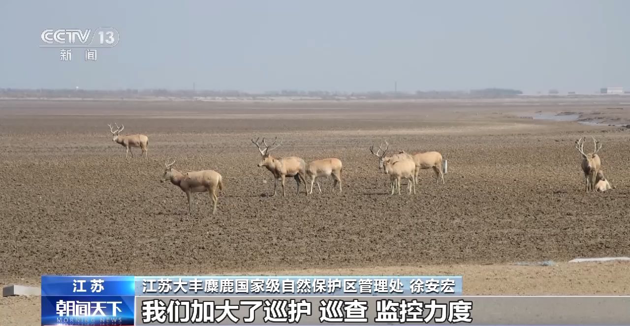 
北京儿童医院黄牛代挂号电话票贩子号贩子网上预约挂号,住院检查加快,第十个世界野生动植物日 我国野保传来这些喜讯