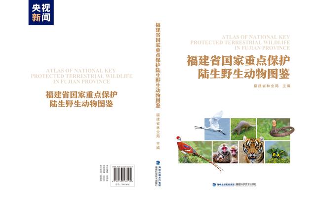 
广州市第一人民医院黄牛代挂号电话票贩子号贩子网上预约挂号,住院检查加快,收录物种近1500种！福建省首次发布野生动植物系列资源图鉴