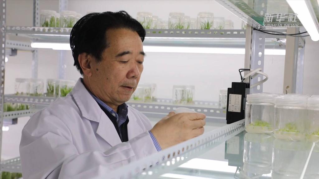 
首都医科大学附属北京胸科医院黄牛代挂号电话票贩子号贩子网上预约挂号,住院检查加快,代表委员履职故事｜全国政协委员马忠明：脚下有泥土 履职接地气