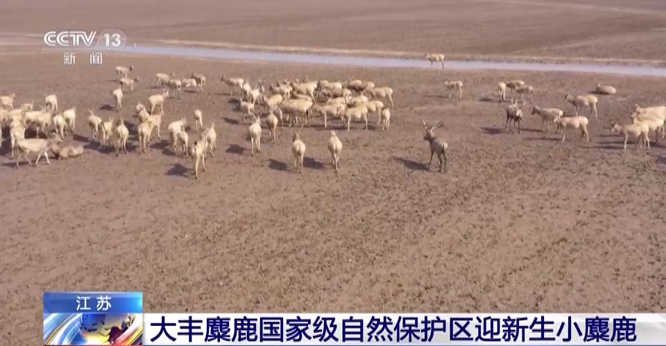 
北京儿童医院黄牛代挂号电话票贩子号贩子网上预约挂号,住院检查加快,第十个世界野生动植物日 我国野保传来这些喜讯