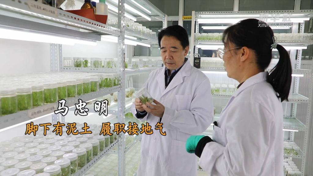 
首都医科大学附属北京胸科医院黄牛代挂号电话票贩子号贩子网上预约挂号,住院检查加快,代表委员履职故事｜全国政协委员马忠明：脚下有泥土 履职接地气