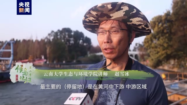 
广州各大医院黄牛代挂号电话票贩子号贩子网上预约挂号,住院检查加快,大美中国 候鸟北归丨滇池有了“幼鸥园”