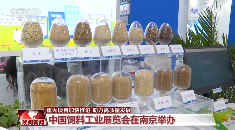
回龙观医院黄牛代挂号电话票贩子号贩子网上预约挂号,住院检查加快,重大项目加快推进 助力高质量发展
