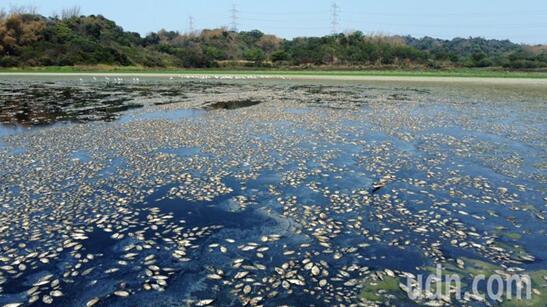 
北京儿童医院黄牛代挂号电话票贩子号贩子网上预约挂号,住院检查加快,台南部干旱导致“抢水大战”，蔡英文此前参拜寺庙祈雨引网民嘲讽