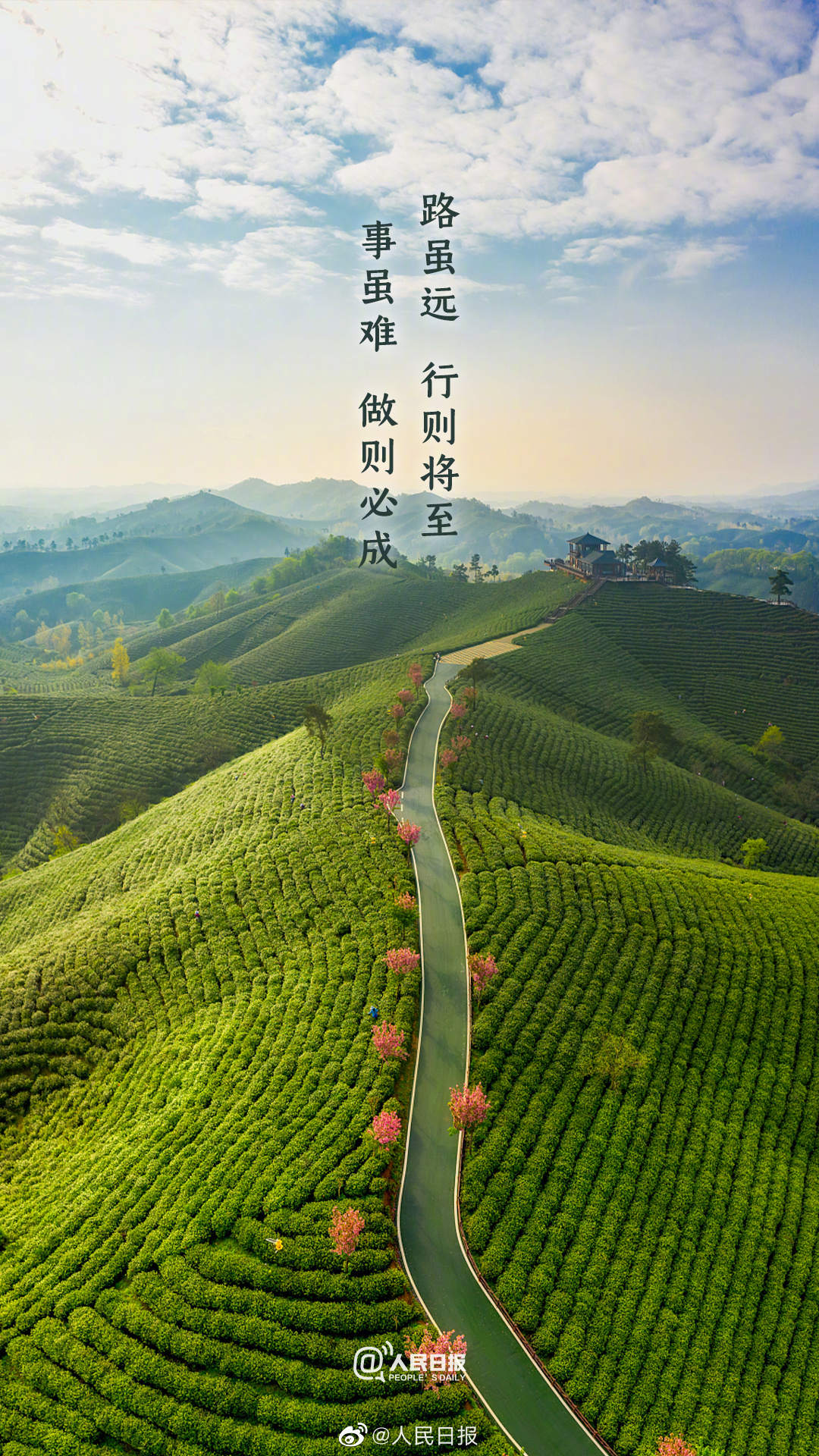 
北京积水潭医院黄牛代挂号电话票贩子号贩子网上预约挂号,住院检查加快,新的春天，新的征程，春天奋斗壁纸收好