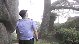 
长沙各大医院黄牛代挂号电话票贩子号贩子网上预约挂号,住院检查加快,不一样的你 | “守松人”胡晓春：你扮美黄山 我守护你