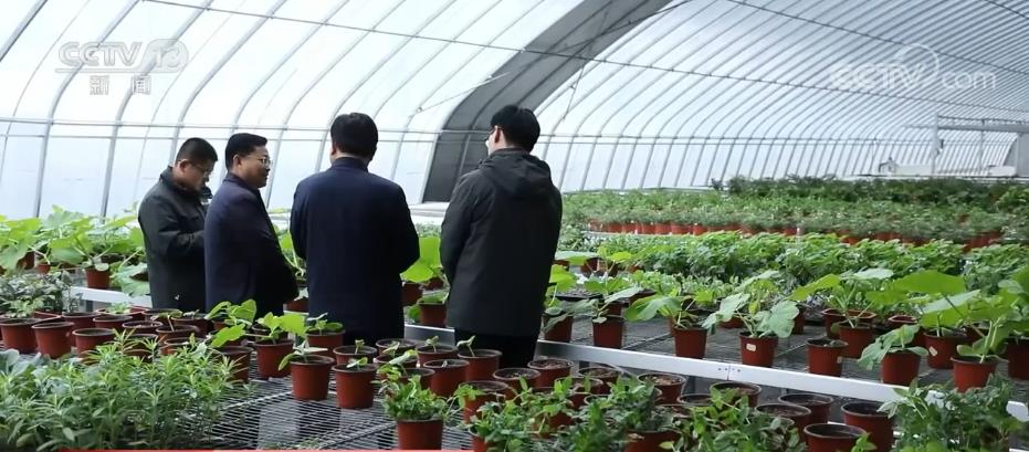 
中山大学中山眼科中心黄牛代挂号电话票贩子号贩子网上预约挂号,住院检查加快,我从基层来 | 村民过上好日子 “负债村”变为“亿元村”