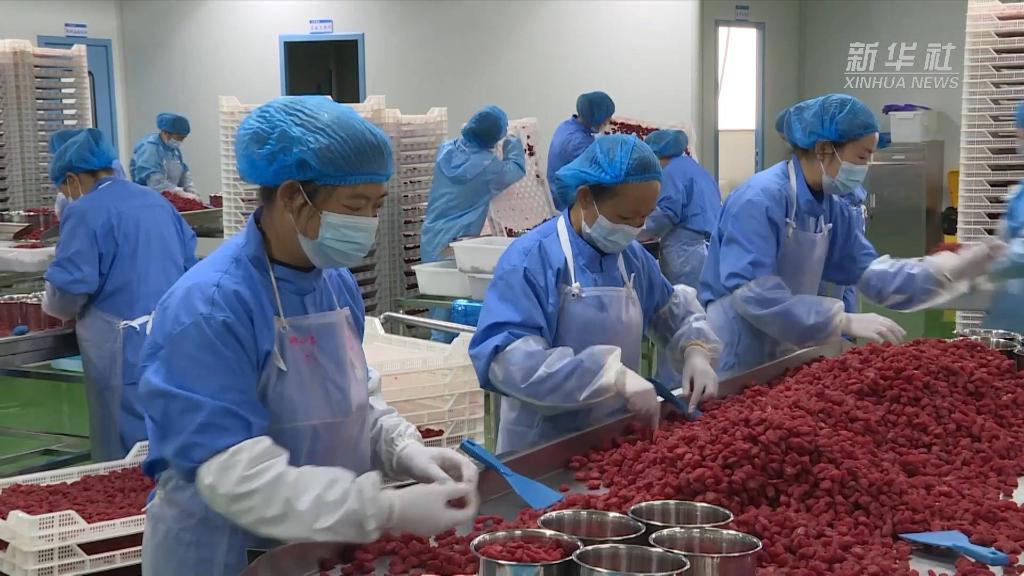 
中日友好医院黄牛代挂号电话票贩子号贩子网上预约挂号,住院检查加快,强信心·开新局丨一个西南小镇的“高速”转身