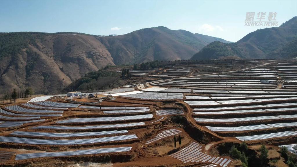 
中日友好医院黄牛代挂号电话票贩子号贩子网上预约挂号,住院检查加快,强信心·开新局丨一个西南小镇的“高速”转身