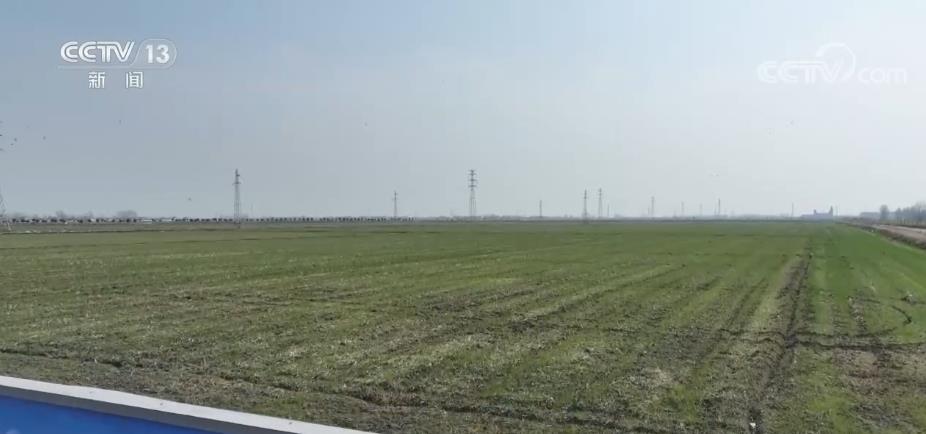 
北大口腔医院黄牛代挂号电话票贩子号贩子网上预约挂号,住院检查加快,全国耕地连续第二年实现总量净增加