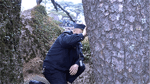 
长沙各大医院黄牛代挂号电话票贩子号贩子网上预约挂号,住院检查加快,不一样的你 | “守松人”胡晓春：你扮美黄山 我守护你