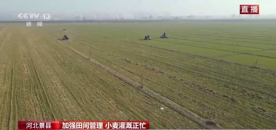 
代挂姜玉武的号黄牛代挂号电话票贩子号贩子网上预约挂号,住院检查加快,智能喷灌、水肥一体化……助力小麦夏粮增产丰收