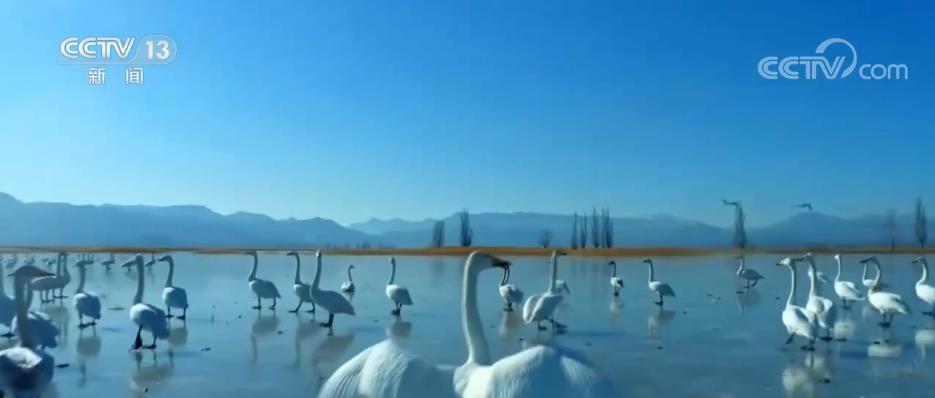 
中山大学肿瘤医院黄牛代挂号电话票贩子号贩子网上预约挂号,住院检查加快,团结奋斗 忠诚履职 | 加速“绿水青山”与“金山银山”双向转化