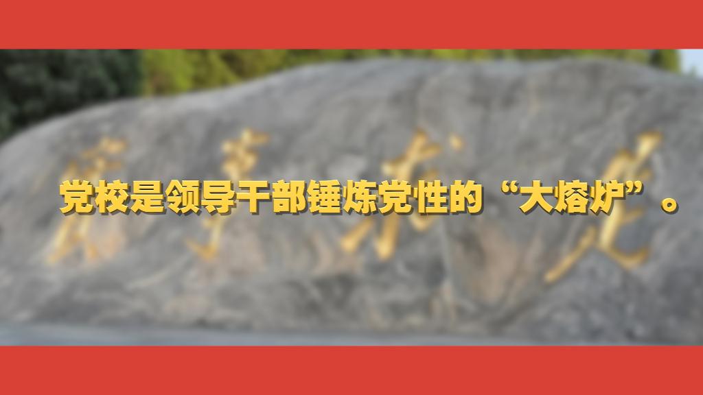 
上海各大医院黄牛代挂号电话票贩子号贩子网上预约挂号,住院检查加快,关于党校工作，总书记这样强调