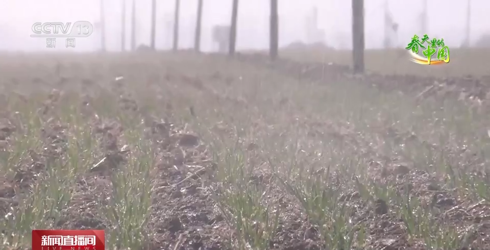 
代挂姜玉武的号黄牛代挂号电话票贩子号贩子网上预约挂号,住院检查加快,智能喷灌、水肥一体化……助力小麦夏粮增产丰收