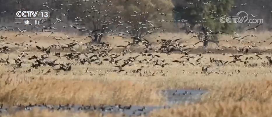 
中山大学肿瘤医院黄牛代挂号电话票贩子号贩子网上预约挂号,住院检查加快,团结奋斗 忠诚履职 | 加速“绿水青山”与“金山银山”双向转化