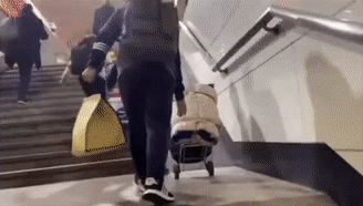 
中国中医科学院眼科医院黄牛代挂号电话票贩子号贩子网上预约挂号,住院检查加快,今天，一起诵读“雷锋精神，一座永不褪色的丰碑”