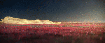 
上海各大医院黄牛代挂号电话票贩子号贩子网上预约挂号,住院检查加快,关于党校工作，总书记这样强调