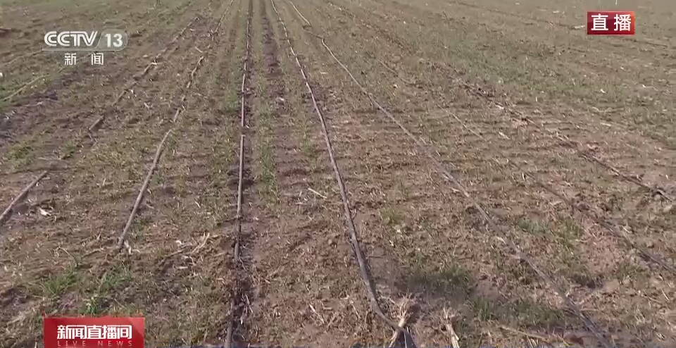 
代挂姜玉武的号黄牛代挂号电话票贩子号贩子网上预约挂号,住院检查加快,智能喷灌、水肥一体化……助力小麦夏粮增产丰收