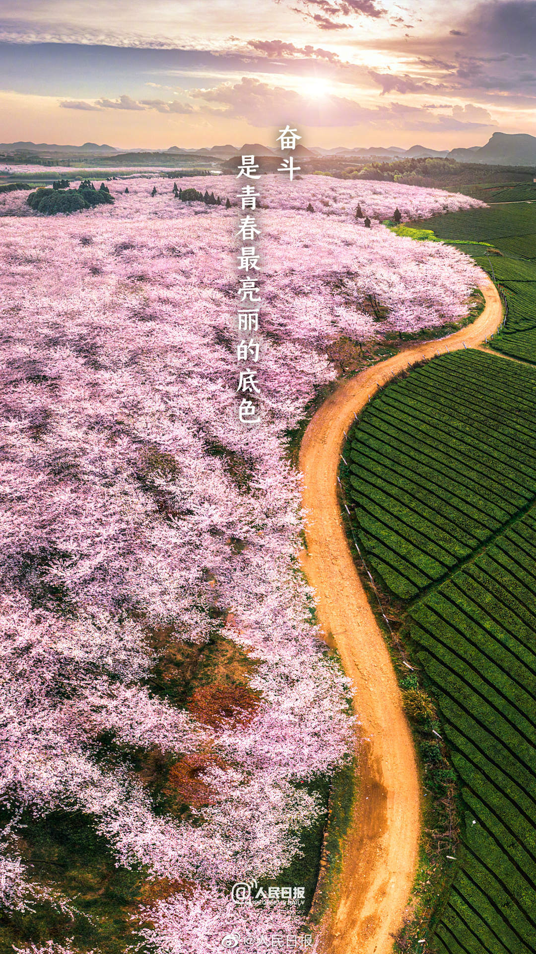 
北京积水潭医院黄牛代挂号电话票贩子号贩子网上预约挂号,住院检查加快,新的春天，新的征程，春天奋斗壁纸收好