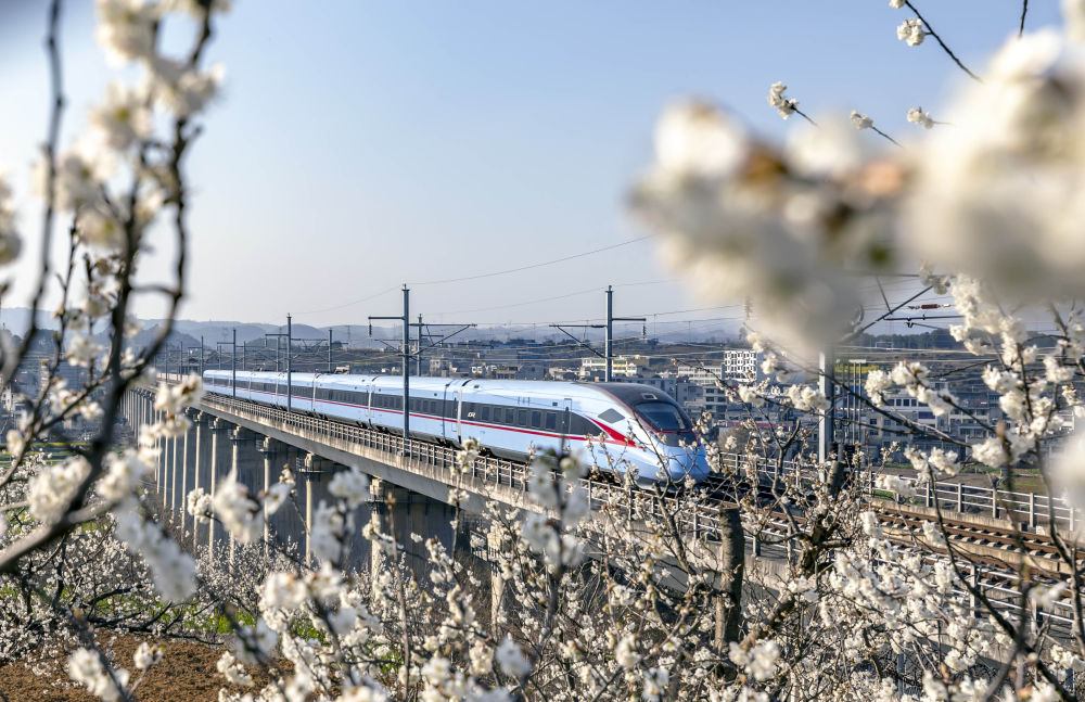 
首都医科大学附属北京妇产医院黄牛代挂号电话票贩子号贩子网上预约挂号,住院检查加快,一“宇”道破｜如何理解中国式现代化道路创造了人类文明新形态？
