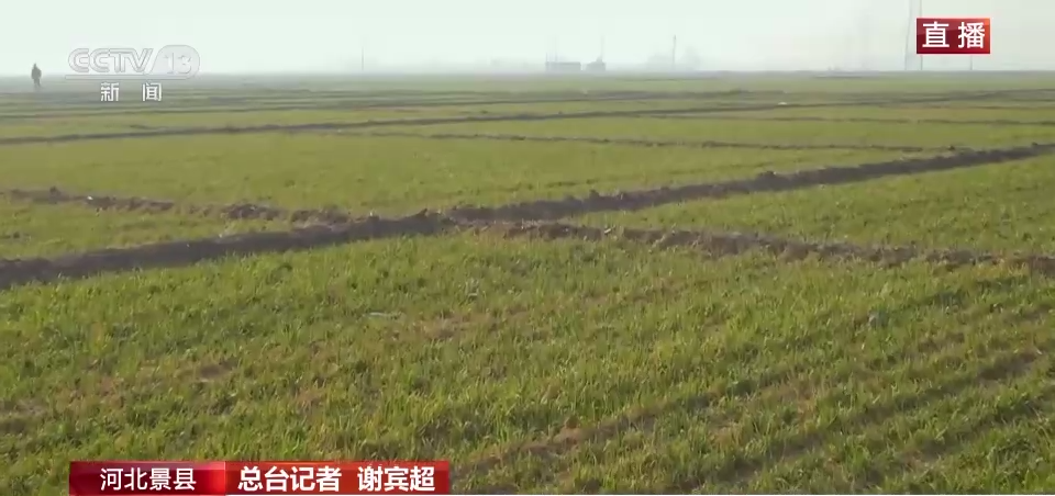 
代挂姜玉武的号黄牛代挂号电话票贩子号贩子网上预约挂号,住院检查加快,智能喷灌、水肥一体化……助力小麦夏粮增产丰收