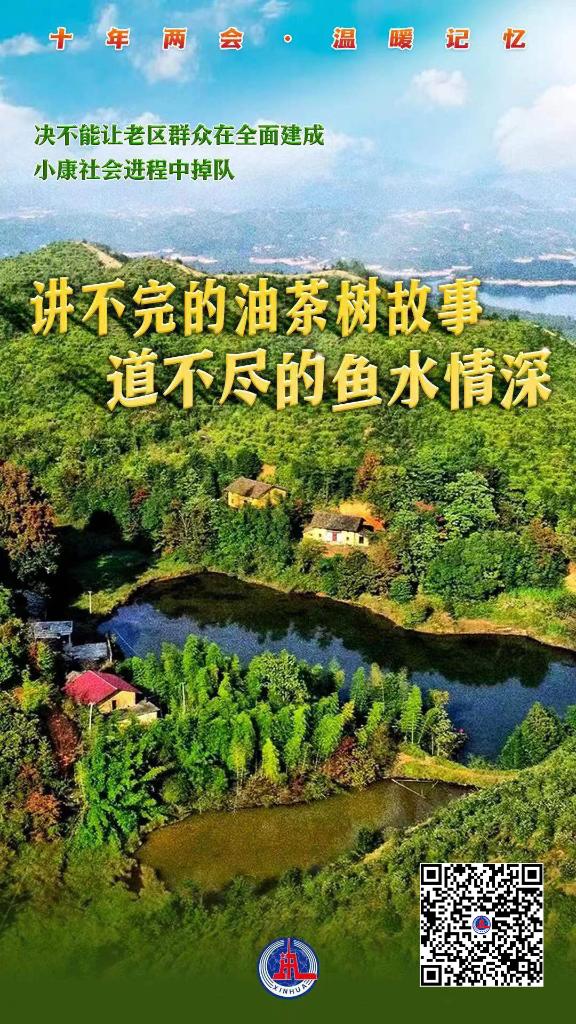 
浙江第二医院黄牛代挂号电话票贩子号贩子网上预约挂号,住院检查加快,重温十年全国两会上的这些温暖记忆！