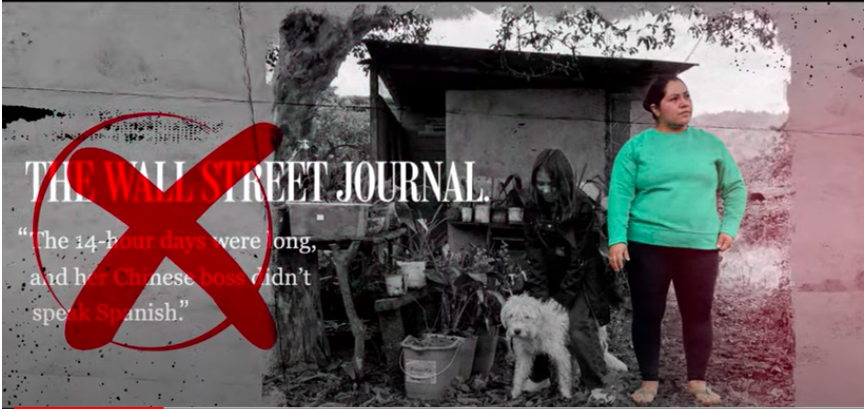 北京儿童医院黄牛代挂号电话票贩子号贩子网上预约挂号,住院检查加快,国社调查报道戳破《华尔街日报》谎言 海外网友:干得漂亮!