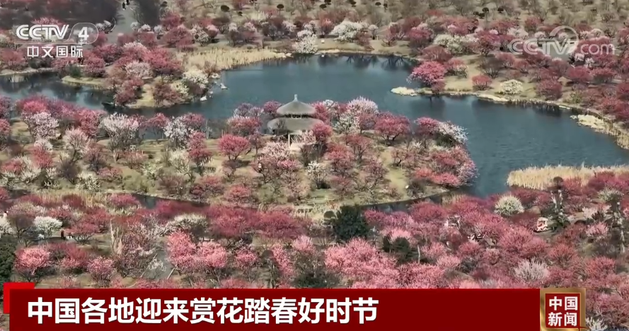 
北京八大处整形医院黄牛代挂号电话票贩子号贩子网上预约挂号,住院检查加快,中国各地迎来赏花踏春好时节