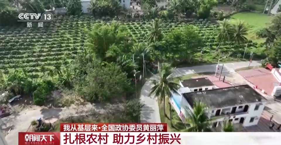 
北京301医院黄牛代挂号电话票贩子号贩子网上预约挂号,住院检查加快,我从基层来丨全国政协委员黄丽萍：扎根农村 助力乡村振兴