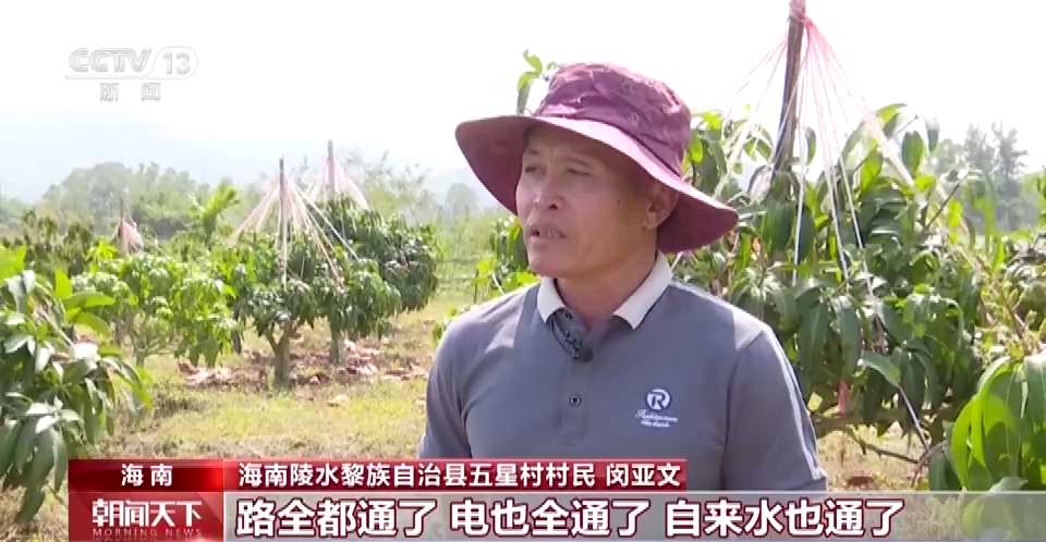 
北京301医院黄牛代挂号电话票贩子号贩子网上预约挂号,住院检查加快,我从基层来丨全国政协委员黄丽萍：扎根农村 助力乡村振兴