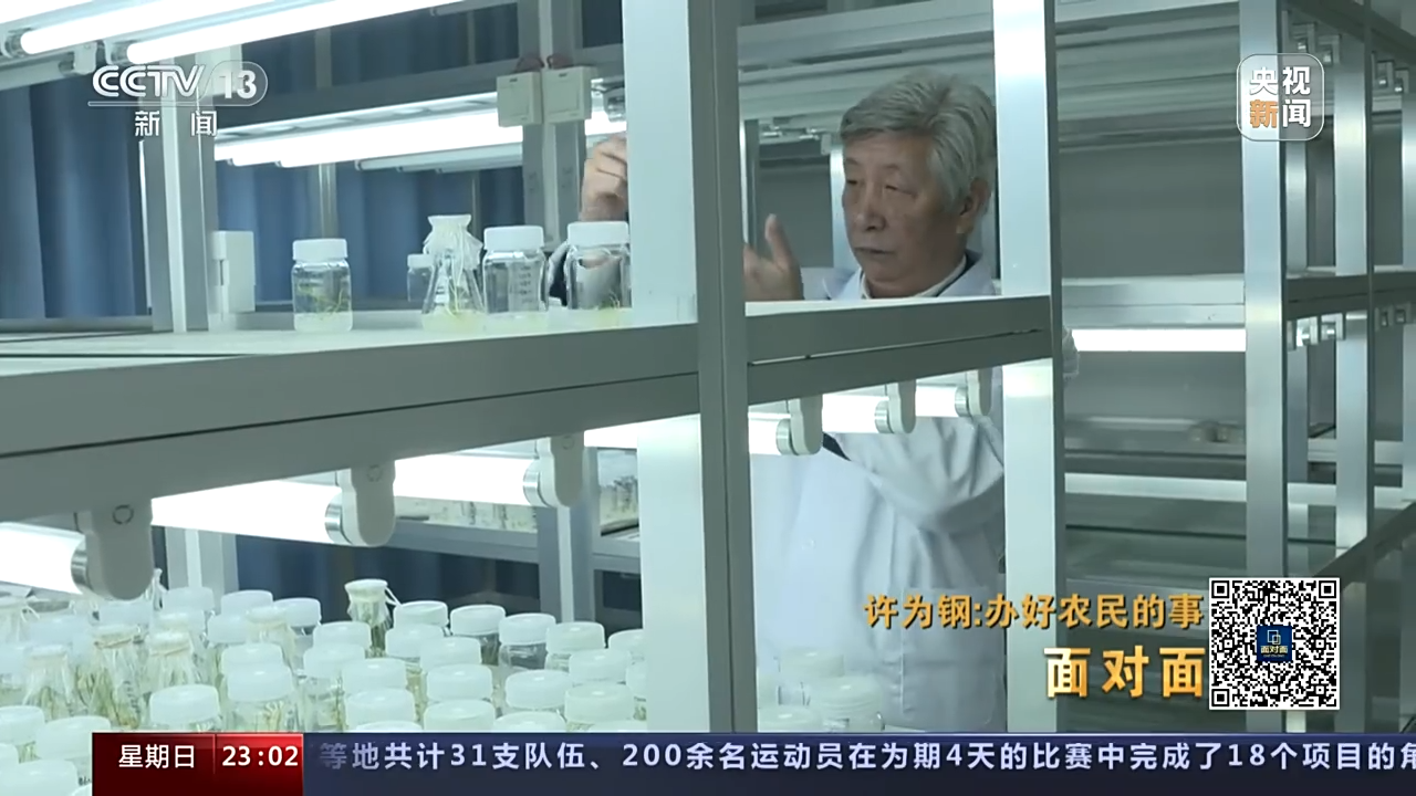
北京各大医院黄牛代挂号电话票贩子号贩子网上预约挂号,住院检查加快,面对面丨怎么才能办好农民的事？专访“小麦院士”许为钢