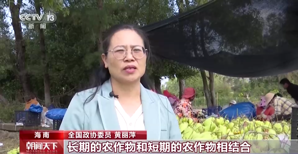
北京301医院黄牛代挂号电话票贩子号贩子网上预约挂号,住院检查加快,我从基层来丨全国政协委员黄丽萍：扎根农村 助力乡村振兴